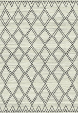 Load image into Gallery viewer, Rugs